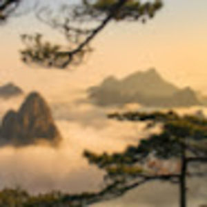 Meet your Posher, Jp